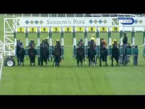 Video preview image for Sandown Park 19:10 - British Stallion Studs EBF Maiden Stakes (5)