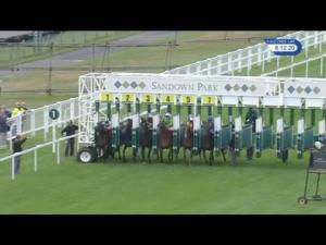 Video preview image for Sandown Park 20:10 - Watch Racing UK On Virgin 536 Handicap (4)
