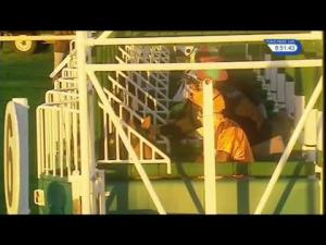 Video preview image for Leicester 20:50 - Molyneux Handicap (5)