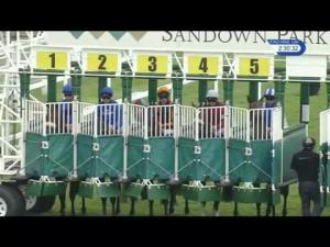 Video preview image for Sandown Park 14:30 - racinguk.com Handicap (3)