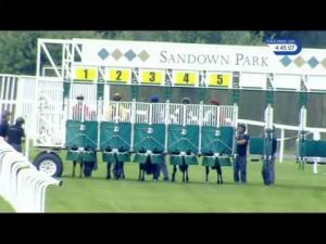 Video preview image for Sandown Park 16:45 - Roa/Racing Post Owners Jackpot Handicap (5)