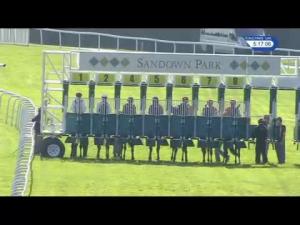 Video preview image for Sandown Park 17:15 - Lubricators Handicap (5)