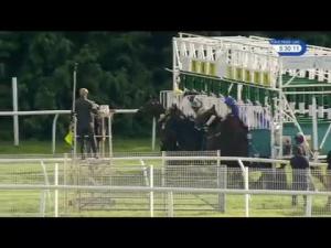 Video preview image for Newbury 17:30 - Premier Food Courts Amateur Riders' Handicap (5)