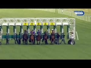 Video preview image for Newbury 18:00 - Compton Beauchamp Estates Ltd EBF Novice Stakes (4)