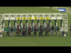 Video preview image for Newbury 18:30 - Steve McNally Lifetime In Racing Nursery Handicap (5)