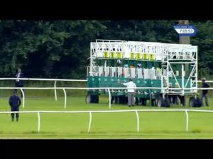 Video preview image for Newbury 19:05 - Snows Peugeot Handicap (4)