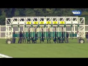 Video preview image for Newbury 19:35 - Zenergi Fillies' Handicap (4)