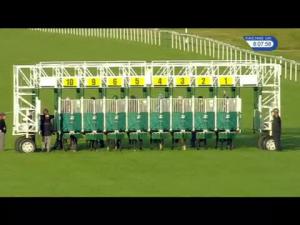 Video preview image for Newbury 20:05 - Events Bar Management Fillies' Handicap (4)