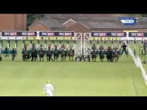 Video preview image for Thirsk 13:50 - British Stallion Studs EBF Fillies' Novice Stakes (4) (Div 1)