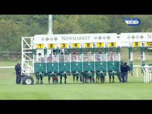 Video preview image for Newmarket 17:35 - Fly London Southend Airport To Perpignan Handicap (5)