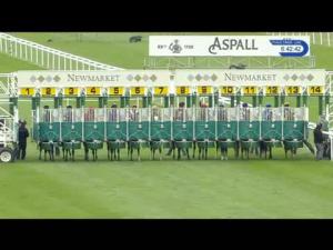 Video preview image for Newmarket 18:40 - Fly London Southend Airport To Lyon Novice Median Auction Stakes (4)