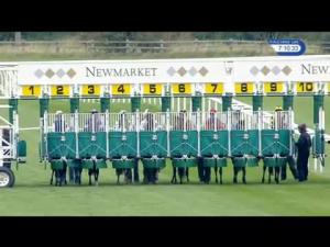 Video preview image for Newmarket 19:10 - Fly London Southend Airport To Prague Nursery Handicap (4)