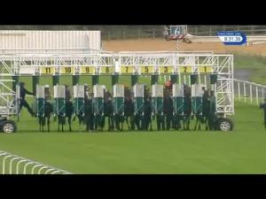 Video preview image for York 20:30 - Sky Bet Go-Racing-In-Yorkshire Summer Festival Handicap (4)