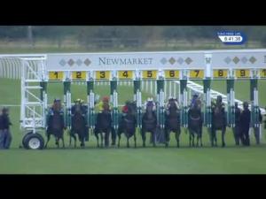 Video preview image for Newmarket 20:40 - Fly London Southend Airport To Venice Handicap (4)