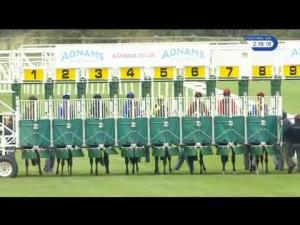 Video preview image for Newmarket 14:15 - Adnams Southwold Bitter EBF Stallions Novice Stakes (4)