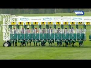 Video preview image for Newmarket 14:50 - Adnams Broadside Handicap (3)