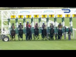 Video preview image for Newmarket 15:25 - Adnams Ghost Ship Fillies' Handicap (2)