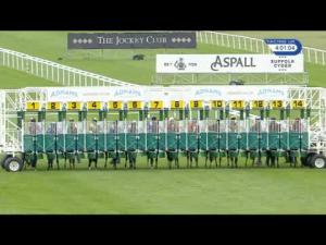 Video preview image for Newmarket 16:00 - Adnams Sole Star Handicap (2)