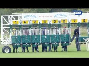 Video preview image for Newmarket 17:05 - Adnams Innovation Handicap (3)