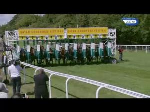 Video preview image for Goodwood 14:25 - Qatar Vintage Stakes (Group 2) (1)