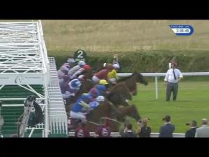 Video preview image for Goodwood 15:35 - Qatar Goodwood Cup (Group 1) (1)