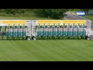 Video preview image for Goodwood 16:10 - Irish Thoroughbred Marketing EBF Maiden Stakes (2)