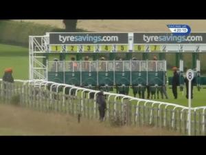 Video preview image for Beverley 16:20 - Wilford Watts Memorial Handicap (4)