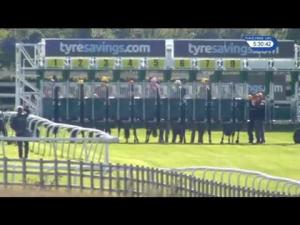 Video preview image for Beverley 17:30 - Lady Jane Bethell Memorial Handicap (Lady Amateur Riders) (6) (Div 1)