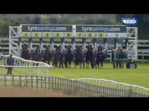Video preview image for Beverley 18:00 - Lady Jane Bethell Memorial Handicap (Lady Amateur Riders) (6) (Div 2)