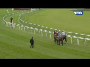Video preview image for Perth 18:20 - Tarrag Naegel Novices' Chase (4)