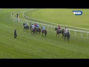 Video preview image for Perth 20:00 - Bruce Farms Handicap Hurdle (5)