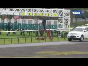 Video preview image for Redcar 15:10 - Watch Racing UK On Bt TV Selling Stakes (6)