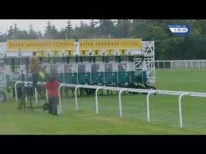 Video preview image for Goodwood 15:35 - Qatar Sussex Stakes (Group 1) (1)