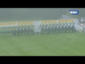 Video preview image for Goodwood 16:10 - Markel Insurance Maiden Fillies' Stakes (2)