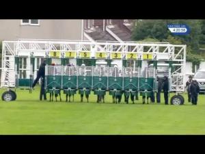 Video preview image for Redcar 16:20 - Racing UK Straight-Mile Series Handicap (Qualifier) (4)