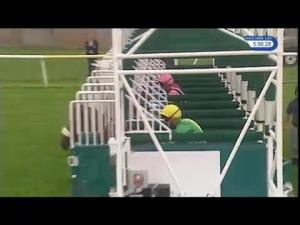 Video preview image for Leicester 17:55 - British Stallion Studs EBF Novice Stakes (4)