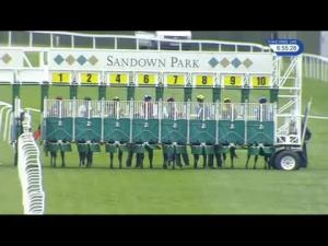 Video preview image for Sandown Park 18:55 - British Stallion Studs EBF Novice Stakes (5)