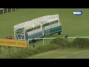 Video preview image for Goodwood 13:50 - Matchbook Betting Exchange Handicap (2)
