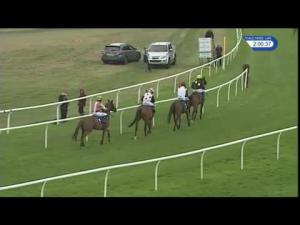 Video preview image for Stratford-on-Avon 14:00 - Bordeaux Undiscovered Wines Selling Hurdle (5)