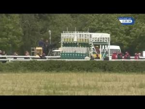 Video preview image for Goodwood 14:25 - Markel Insurance Fillies' Stakes (Lillie Langtry) (Group 3) (1)