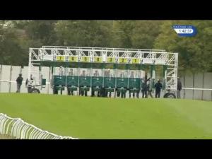 Video preview image for Thirsk 13:40 - Project Management Scotland Selling Stakes (6)