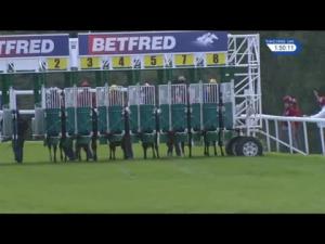 Video preview image for Goodwood 13:50 - Betfred Glorious Stakes (Group 3) (1)