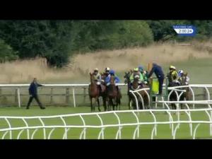Video preview image for Bangor-On-Dee 14:00 - Utilities Connections Management Ltd Handicap Hurdle (4)