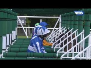 Video preview image for Goodwood 14:25 - Bonhams Thoroughbred Stakes (Group 3) (1)