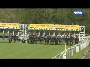 Video preview image for Goodwood 15:35 - Qatar King George Stakes (Group 2) (1)