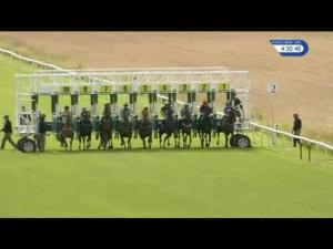 Video preview image for Thirsk 16:30 - Jw 4X4 Northallerton Handicap (6) (Div 2)