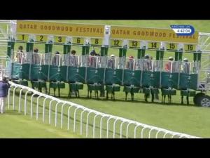 Video preview image for Goodwood 16:40 - L'Ormarins Queens Plate Oak Tree Stakes (Group 3) (1)