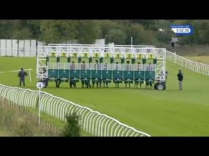 Video preview image for Thirsk 17:00 - Book Now For Ladies' Day Saturday 9th September Maiden Stakes (5)