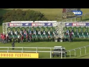 Video preview image for Goodwood 17:15 - Betfred Supports Jack Berry House Handicap (3)