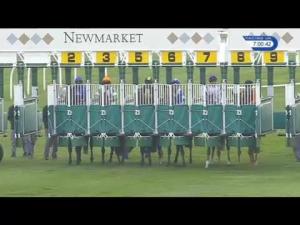 Video preview image for Newmarket 19:00 - Fly London Southend Airport To Prague Handicap (3)